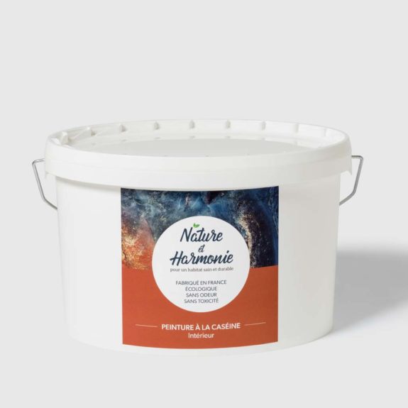 Nature Harmonie Peinture Caseine 4KG